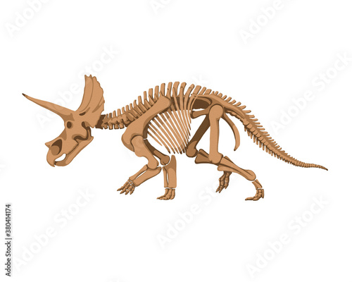 Study guide, skeleton of a prehistoric animal. Paleontological motives.