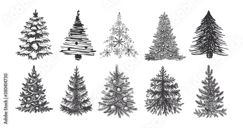 Christmas tree hand drawn illustration. Vector.	
