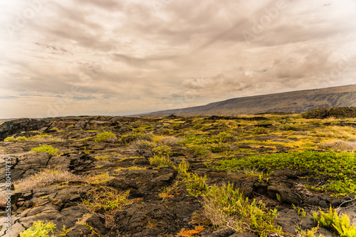 Volcano National Park