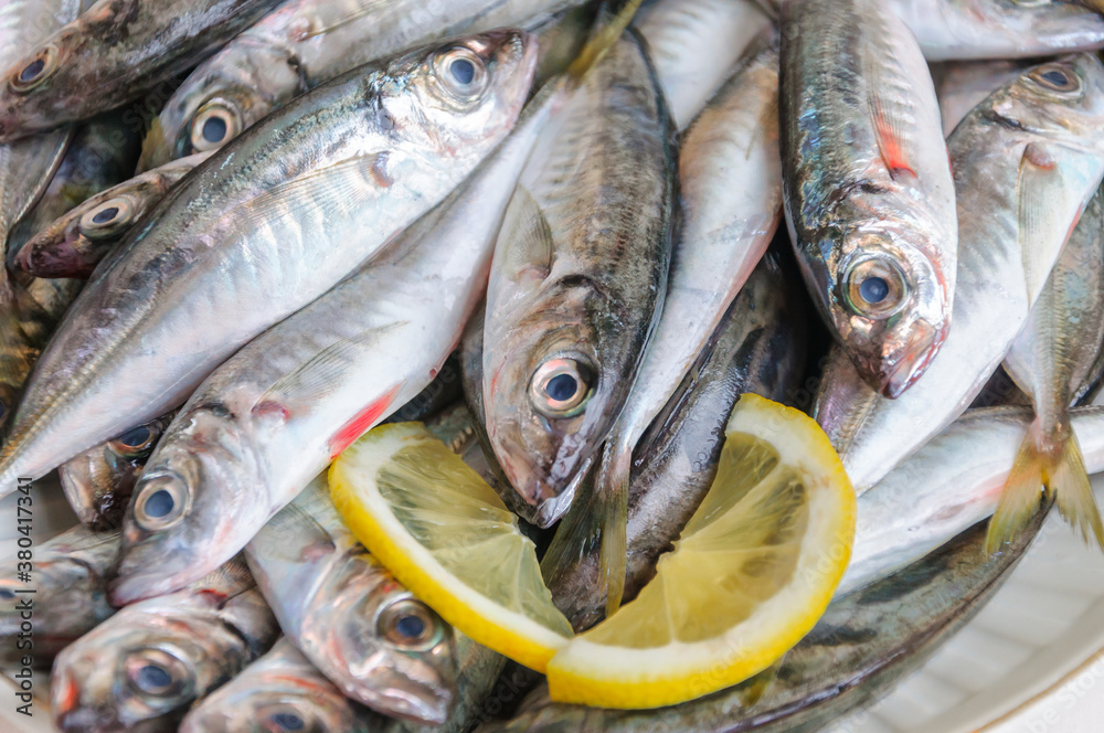 Scads freshly caught from the Black Sea.