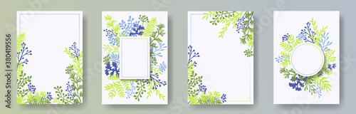 Cute herb twigs, tree branches, leaves floral invitation cards set. Bouquet wreath vintage cards design with dandelion flowers, fern, lichen, olive tree leaves, sage twigs.