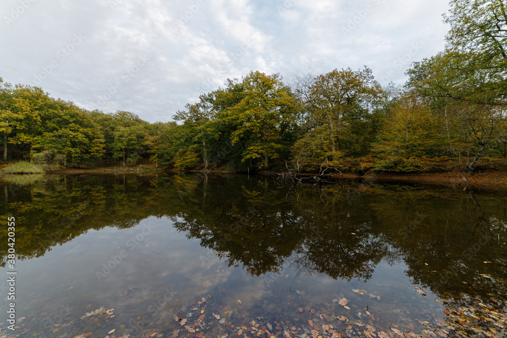 Lake landscape with trees reflected in the water in Autumn Lake landscape with trees reflected in the water in Autumn