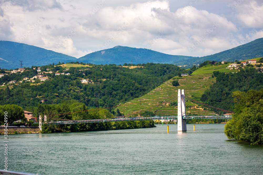 Vineyards along the Rhone River and the Rhone River Bridge at Le Port, France.