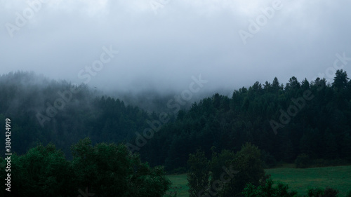 fog in the forest © Mephis