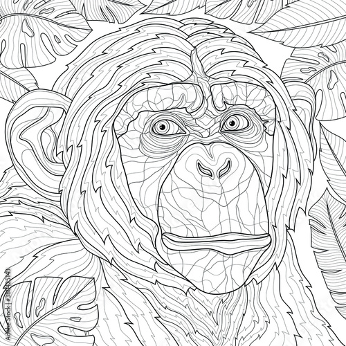 Chimpanzee Tropical Leaves. Animal.Coloring book antistress for children and adults. Zen-tangle style.Black and white drawing