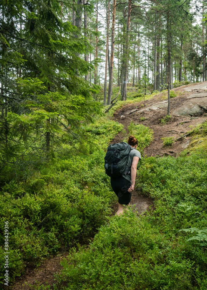 Fototapeta premium hiker in the woods