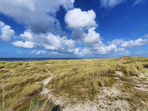 Sunny sky with clouds above beach