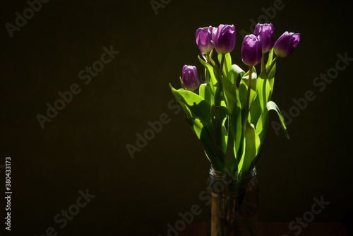 Bouquet of fresh purplish tulips in glass jar  flowers beautifully  illuminated by the sunlight  blurred dark background  still life  copy space