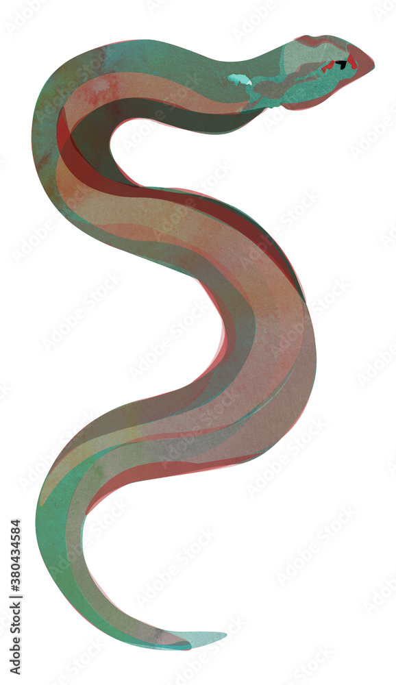 Fototapeta premium Snake illustration