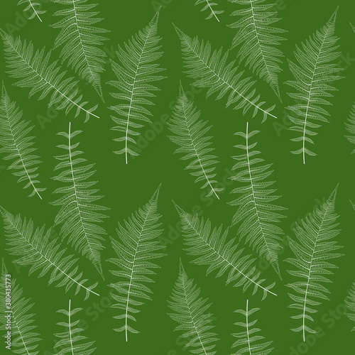 Fern Leaf Vector Fern Leaf Vector Seamless Pattern Background Illustration