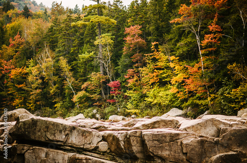 New Hamphire Riverbed in Autumn photo