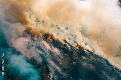 Smoke and flame nature forest fire in after dry season, aerial top view from drone.