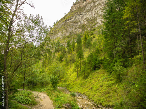 Homole gorge in Pieniny mountains, Poland photo