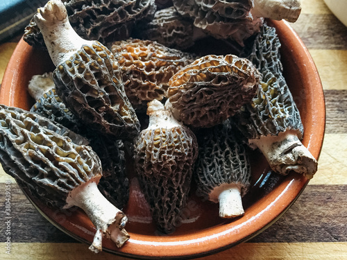 Ceramic bowl with wild morel mushrooms photo