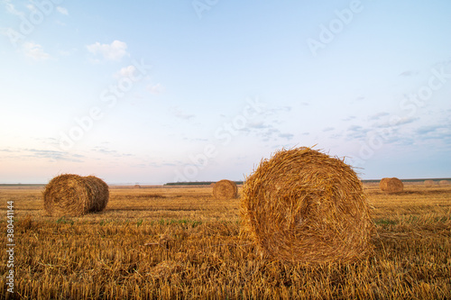 Bales in the field at sunrise