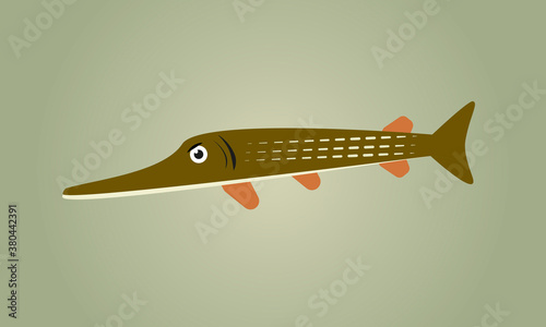Pike character cartoon vector illustration 