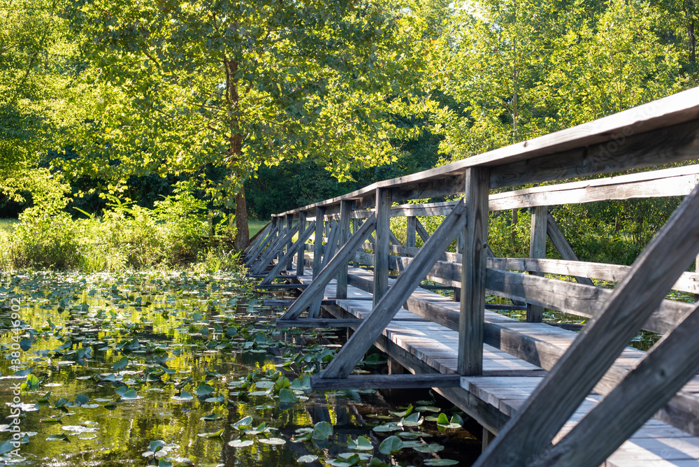 bridge in the park