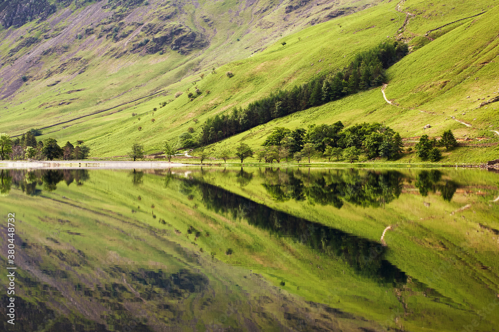 Trees and mountainside reflected in the surface of Buttermere lake. Cumbria, UK. Trees and mountainside reflected in the surface of Buttermere lake. Cumbria, UK.