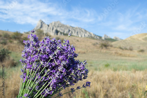 Lavender bouquet on the background of mountains and blue sky with clouds.