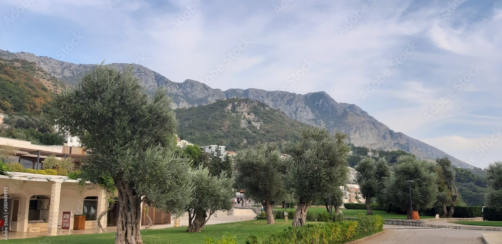Fototapeta premium view of the city of kotor
