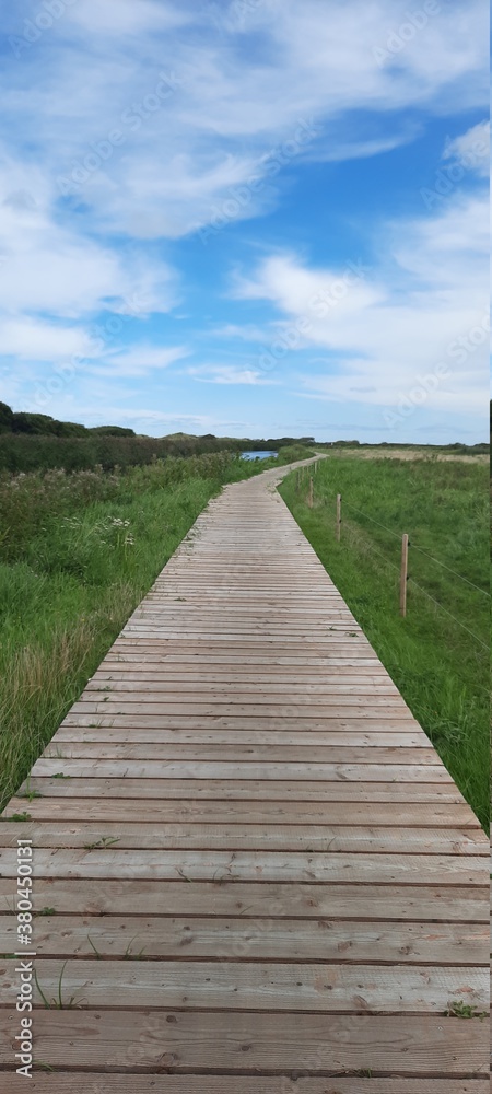 Dänemark Dünen mit Holzweg