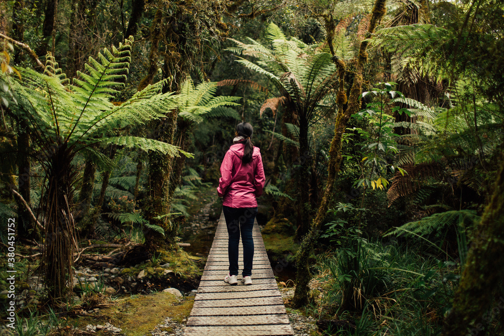Woman hiking through a forest Woman hiking through a forest
