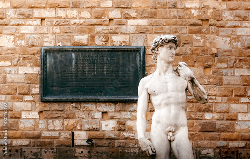 Michelangelo's David outside the Palazzo Vecchio Town Hall in Central Florence, Italy