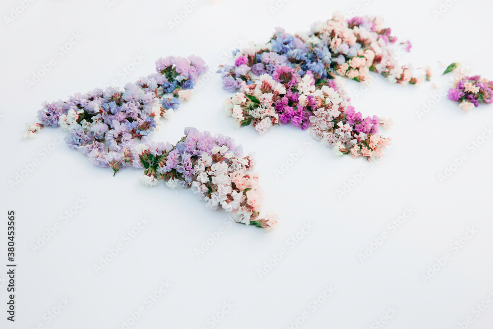 World map made of little flowers captured from the part of America World map made of little flowers captured from the part of America