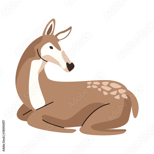 wild fawn animal nature icon