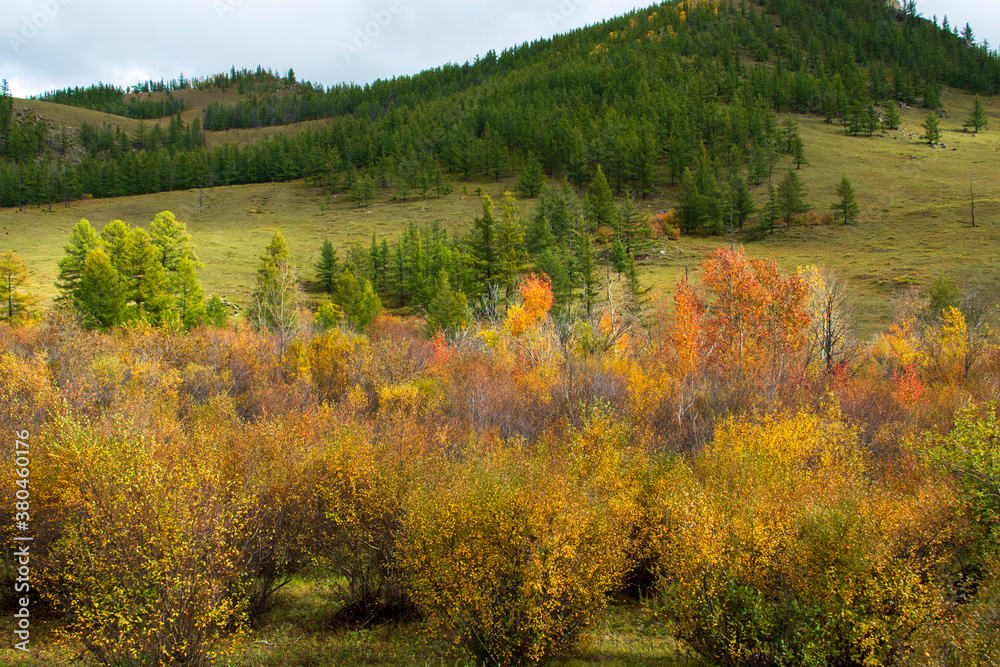 Landscapes and views in Gorkhi-Terelj National Park, Mongolia. Autumn season in Mongolia, Beautiful autumn nature.