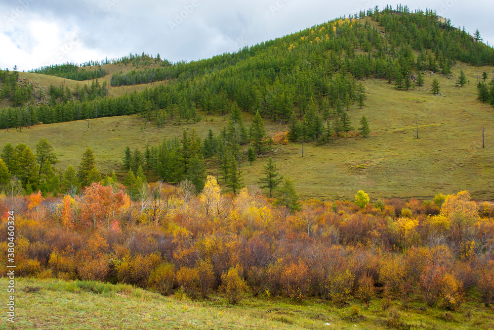Landscapes and views in Gorkhi-Terelj National Park, Mongolia. Autumn season in Mongolia, Beautiful autumn nature.