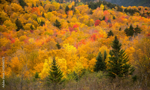 View of the White Mountain National Forest from the Conway Scenic Railway on the Crawford Notch route, just west of Bartlett, New Hampshire. Hardwood trees are showing peak fall color.