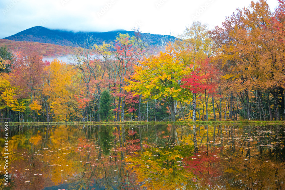 A hardwood forest at peak fall color reflects in Shadow Lake, north of Lincoln, New Hampshire, White Mountain National Forest.
