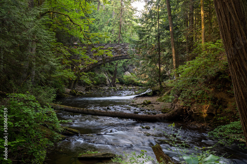 Whatcom creek at whatcom Falls park in Bellingham Washington state