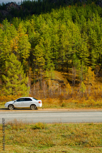 car on the road in autumn
