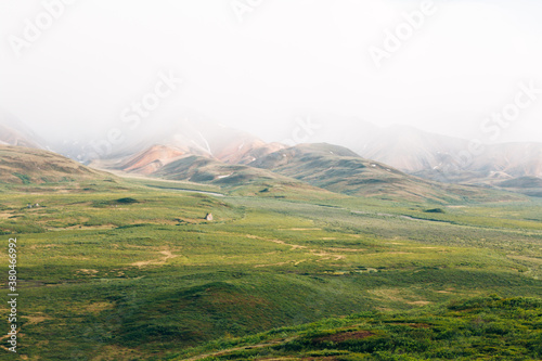 Lush Green Valley photo