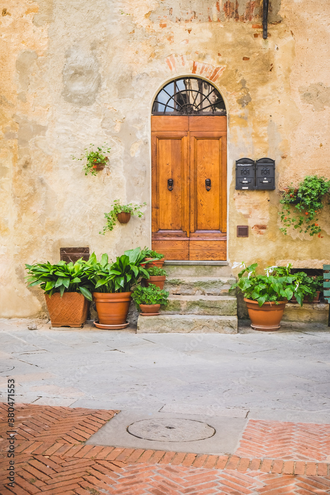 Door and Plants in an Alley of a Small Italian Village Door and Plants in an Alley of a Small Italian Village