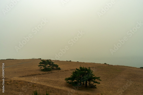 Smoke from Oregon wildfires settles over Western Washington photo