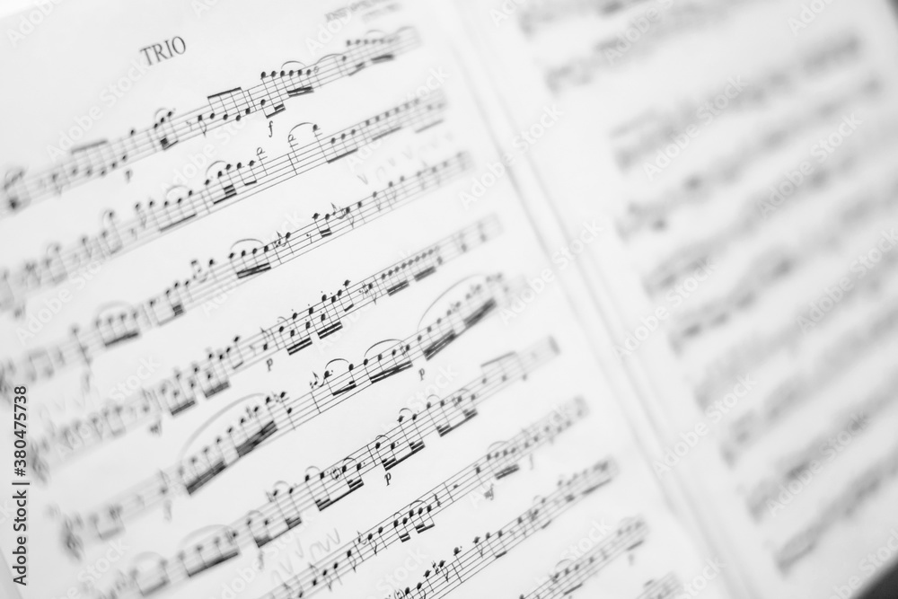 Closeup of score sheet for violin. Composition Year 1766 Closeup of score sheet for violin. Composition Year 1766