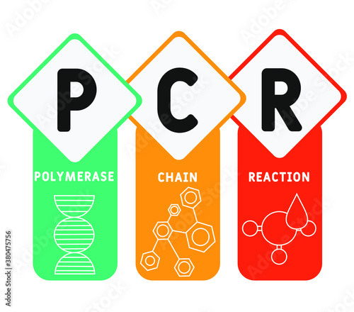 PCR -  Polymerase Chain Reaction acronym, medical concept background. vector illustration concept with keywords and icons. lettering illustration with icons for web banner, flyer, landing page