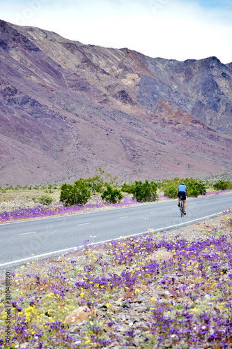Bike rider during superbloom