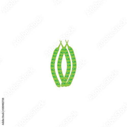 vegetale petai vector