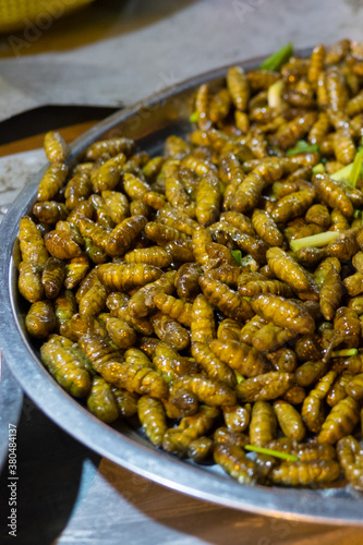 Edible bugs and insects at a night market in Cambodia photo