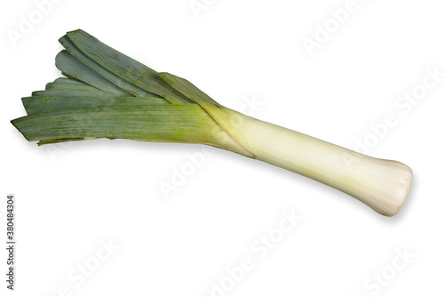 fresh green leek cutout on white background.