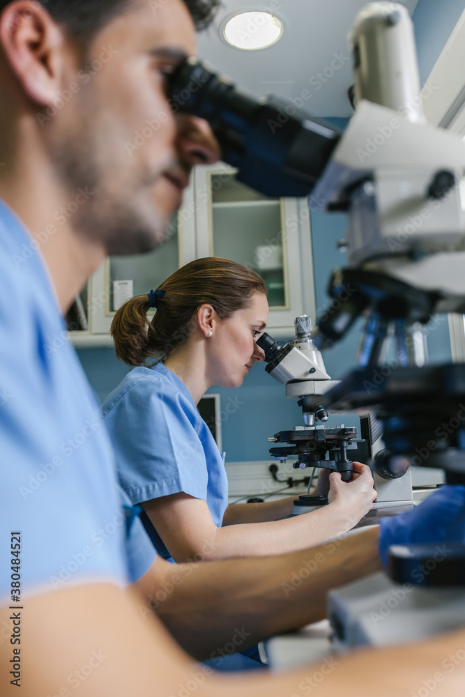 Biologists Working in the Laboratory Biologists Working in the Laboratory