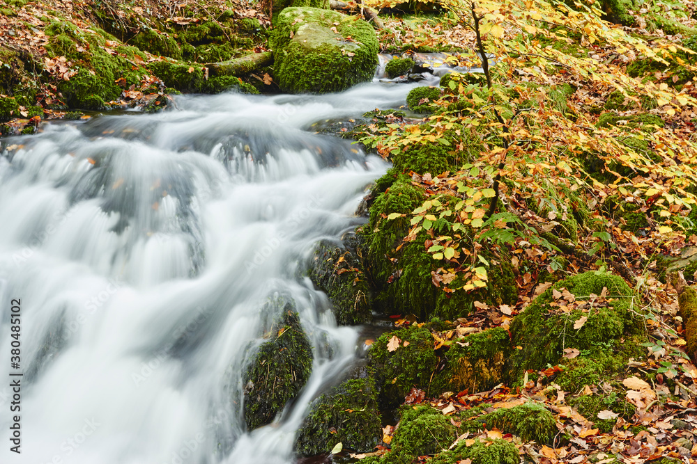 Waterfall and autumnal woodland. Cumbria, UK. Waterfall and autumnal woodland. Cumbria, UK.