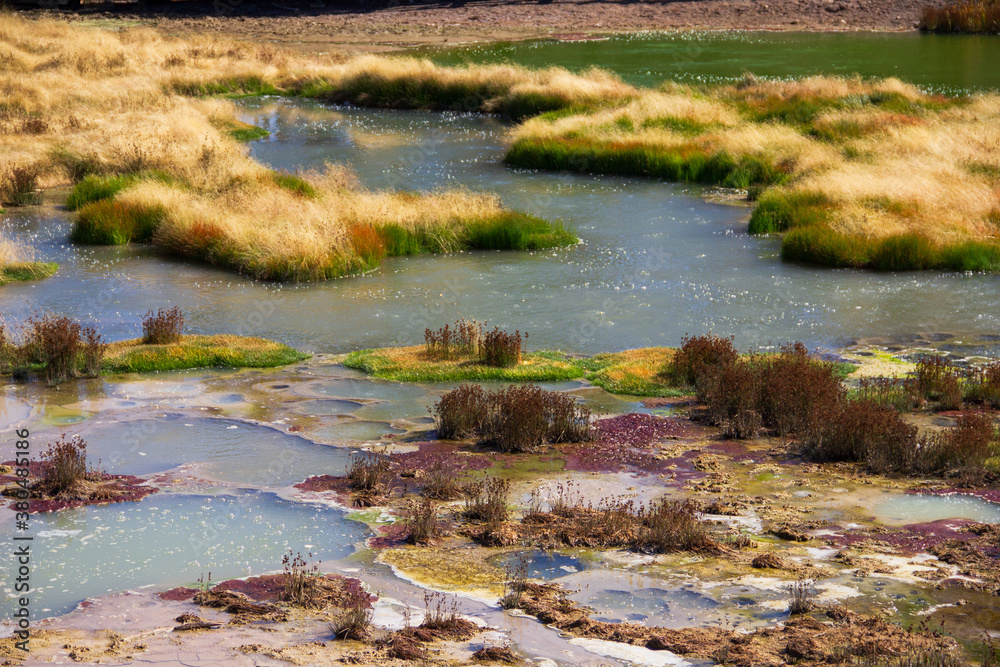 Rainbow abstract natural background. Grass growth on hot spring. Hot spring formation.