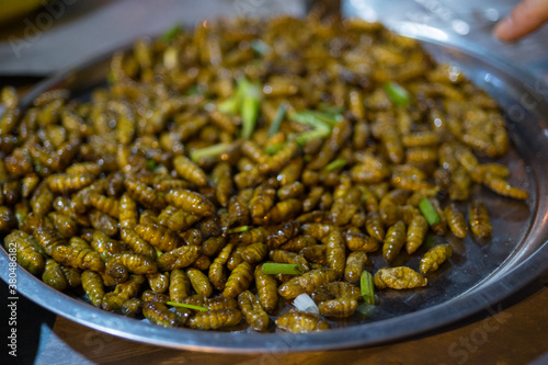 Edible bugs and insects at a night market in Cambodia photo