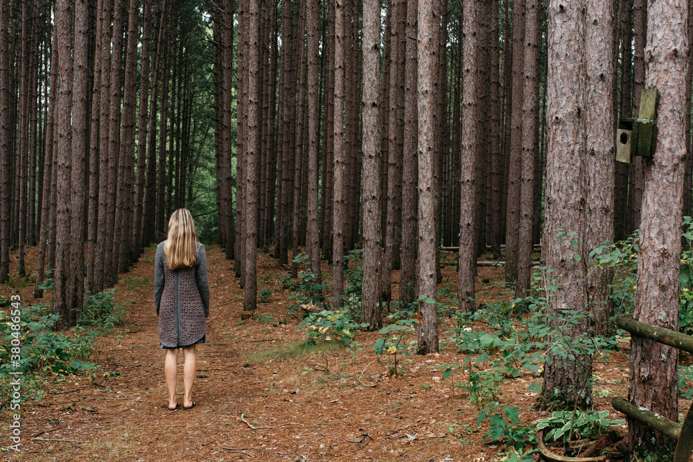 Blonde woman standing on a path in a pine forest Blonde woman standing on a path in a pine forest