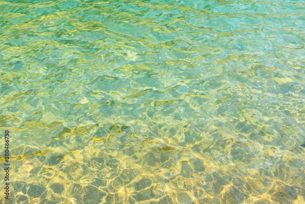Detail of clear alpine lake, Central Cascades, WA Detail of clear alpine lake, Central Cascades, WA